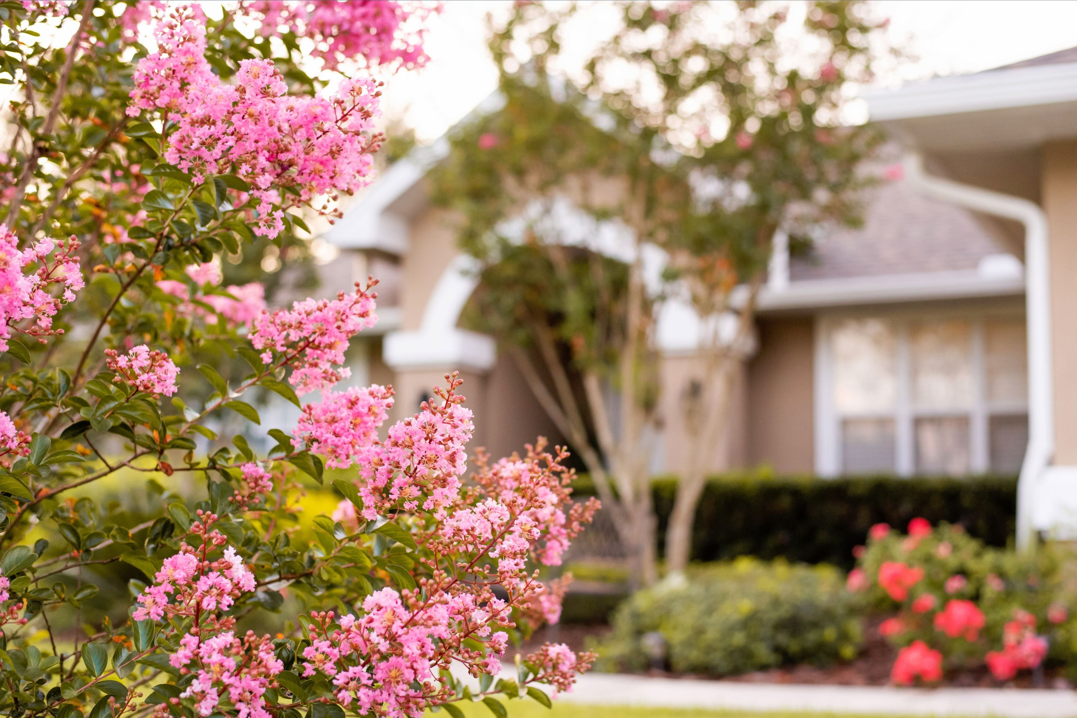 Are Home Prices Going Up or Down in &hellip;