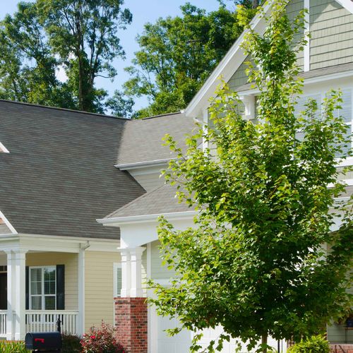 Who Provides Real Estate Market Reports in Port Neches, TX?