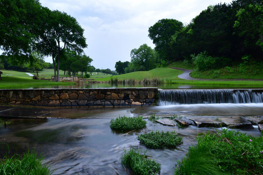 Leander