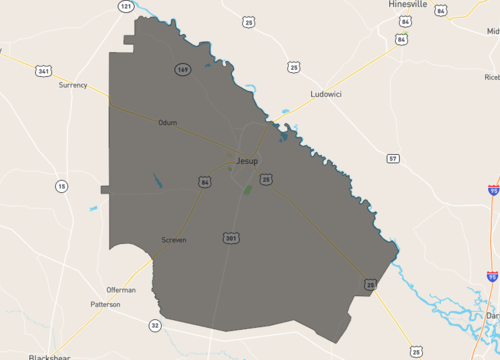 wayne county.png