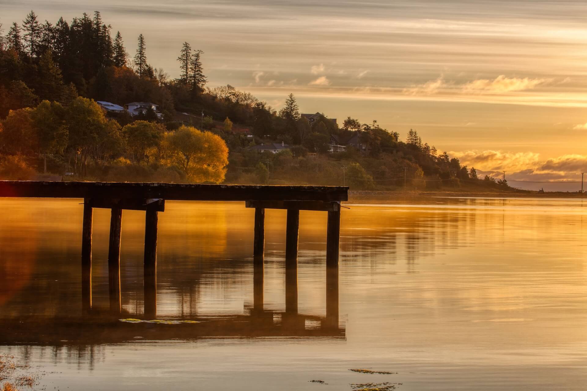 Courtenay South