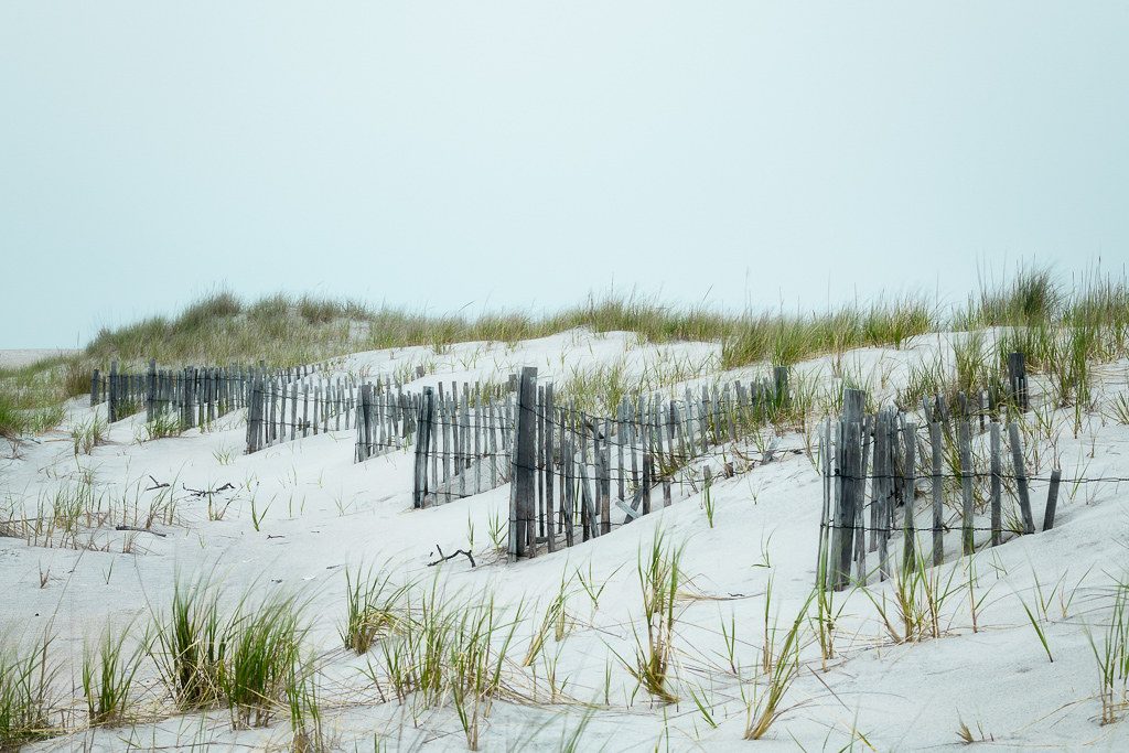 Robert Moses State Park