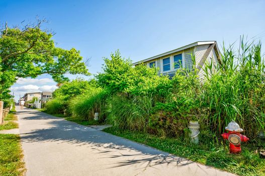 004-467694-14NCrescentDr-2_13491436