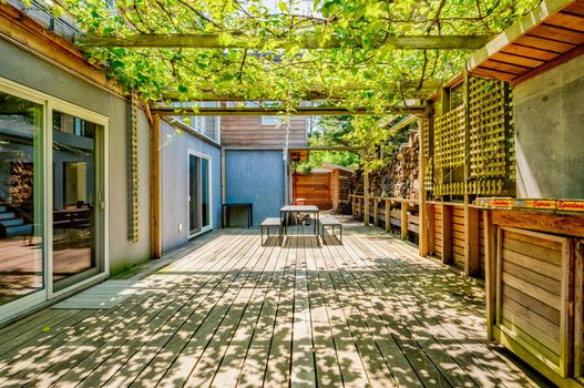 021-467010-58MidwayWalk-23_13463304