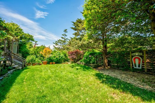 023-467010-58MidwayWalk-25_13463306