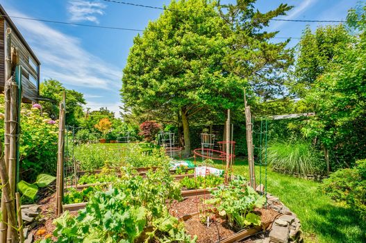 027-467010-58MidwayWalk-28_13463309