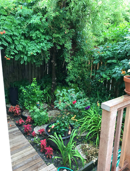 Screenshot 2025-02-08 024313