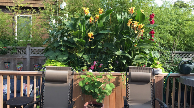 Screenshot 2025-02-08 024325