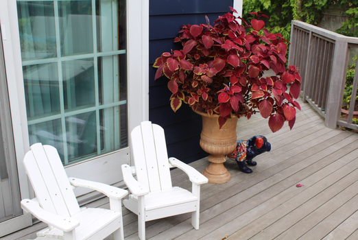 Screenshot 2025-02-08 024347