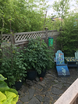 Screenshot 2025-02-08 024423