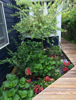 Screenshot 2025-02-08 024918