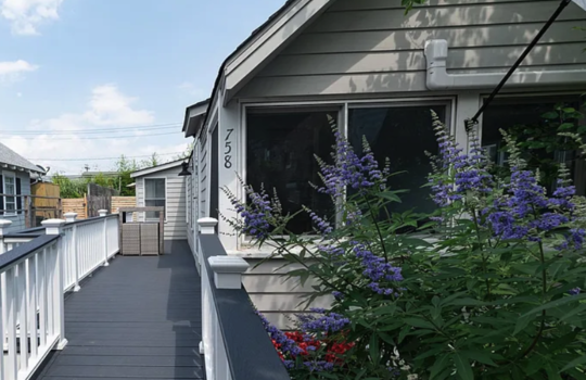 Screenshot 2025-08-22 at 3.49.45 AM