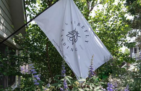 Screenshot 2025-08-22 at 3.54.42 AM