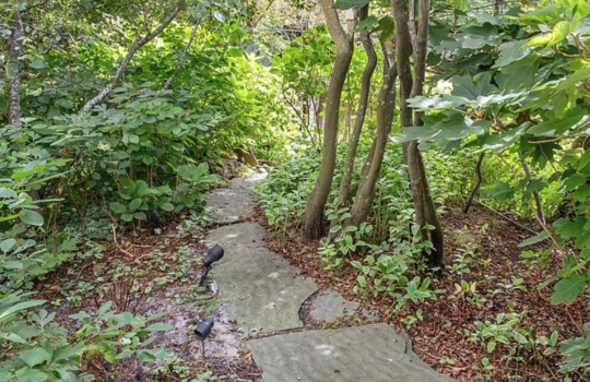 Screenshot 2025-09-18 at 1.52.56 AM