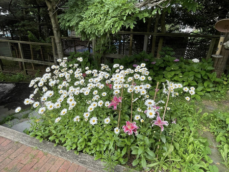 Screenshot 2026-02-22 at 10.27.02 AM