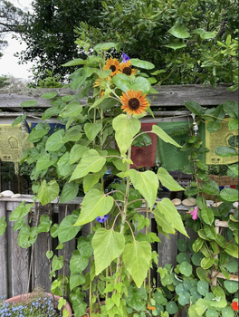 Screenshot 2026-02-22 at 10.27.36 AM