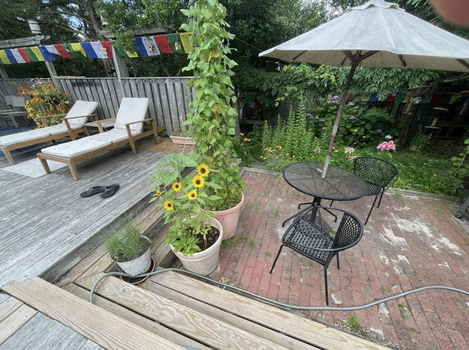 Screenshot 2026-02-22 at 5.21.32 PM