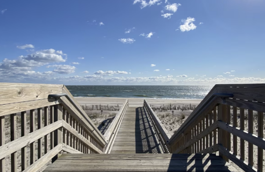 Screenshot 2026-02-24 at 9.19.58 AM