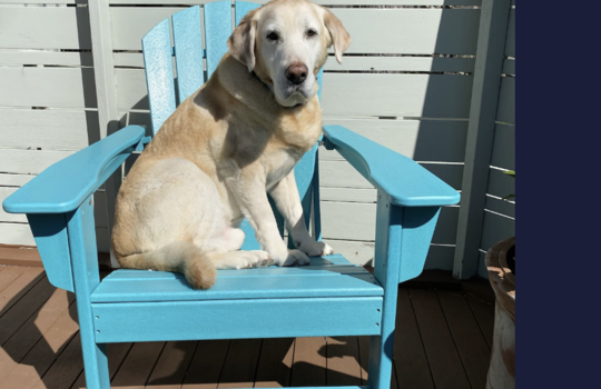 Screenshot 2026-02-24 at 9.28.40 AM