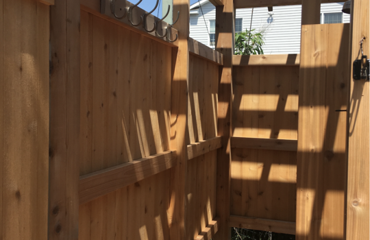 Screenshot 2026-02-25 at 12.04.06 PM