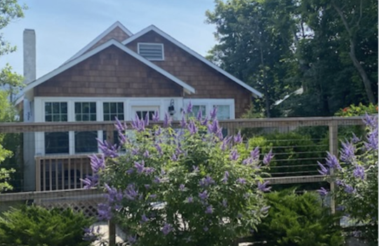 Screenshot 2026-02-25 at 12.36.12 PM