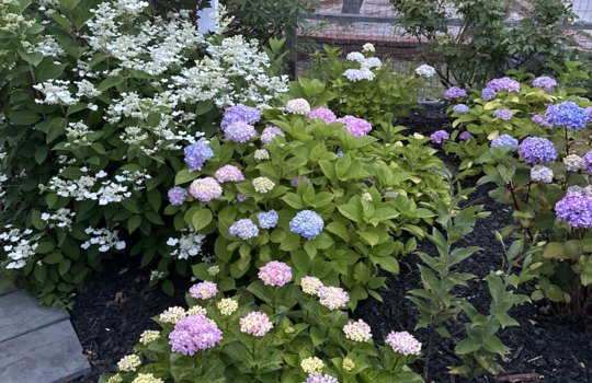 Screenshot 2026-02-28 at 3.26.35 PM