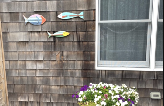 Screenshot 2026-03-06 at 5.07.28 PM