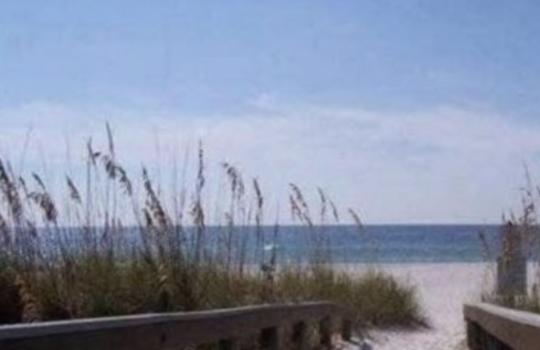 Screenshot 2026-03-06 at 5.49.45 PM