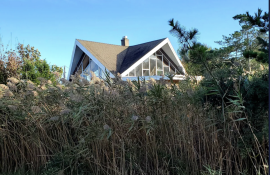 Screenshot 2026-03-22 at 11.04.43 PM