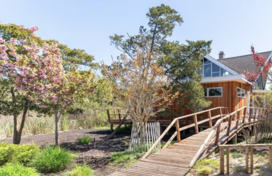 Screenshot 2026-03-22 at 11.05.25 PM