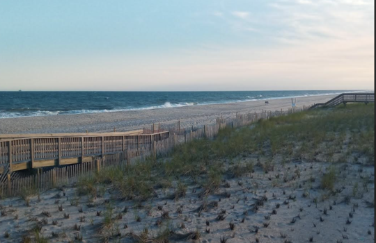 Screenshot 2026-03-26 at 8.55.36 PM