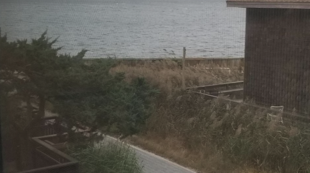 Screenshot 2026-03-26 at 9.46.19 PM 1