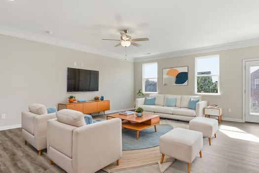 Ava Staged Living Room