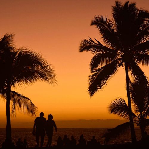 Maui Real Estate 2002: The Year the Market Stopped Fearing and Started Flying