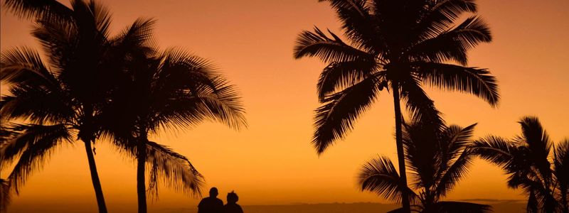 Maui Real Estate 2002: The Year the Market &hellip;