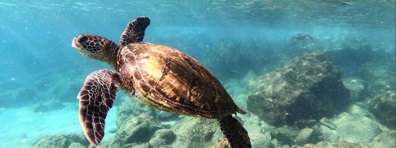 Maui Real Estate 2004: The Market Stopped Selling &hellip;