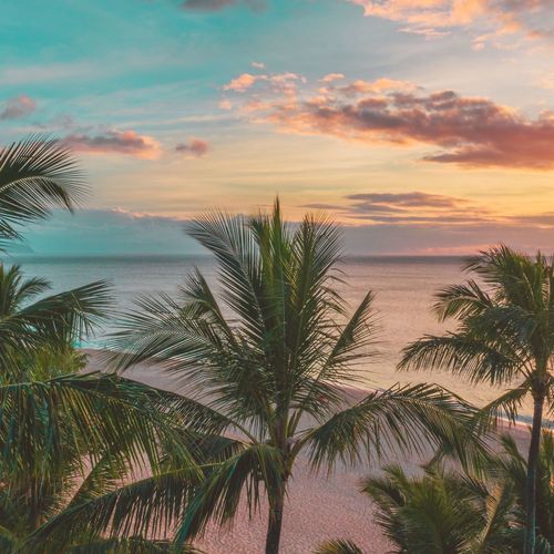 Maui Real Estate 2010: The Year Volume Came Back