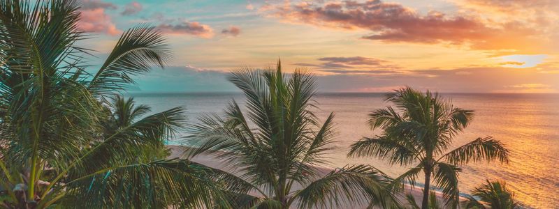 Maui Real Estate 2010: The Year Volume Came &hellip;