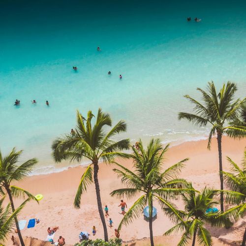 Maui Real Estate 2011: Signs of Life