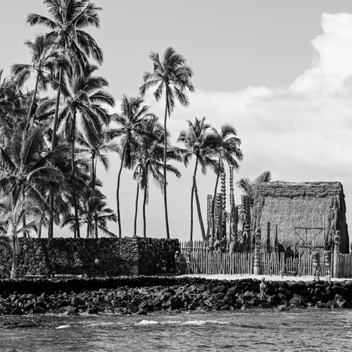 Maui Real Estate 2014: Cash Is King