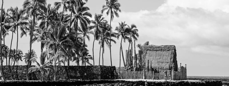Maui Real Estate 2014: Cash Is King