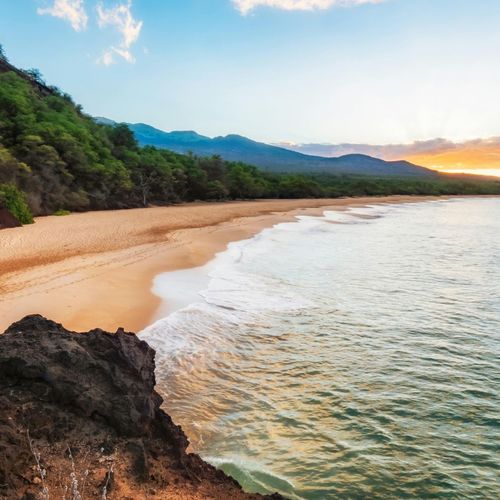 Maui Real Estate 2020: The Year Everything Changed