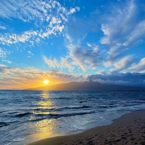 Maui Real Estate 2023: A Year of Loss and Resilience