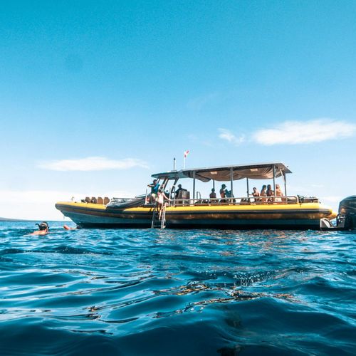 Maui Real Estate 2025: Year-End Annual Report