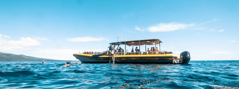 Maui Real Estate 2025: Year-End Annual Report