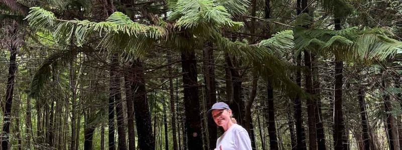 Maui Hikes: From Beach Walks to Summit Adventures