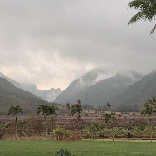 Microclimates of Maui: Why Ten Miles Can Feel Like Another Country