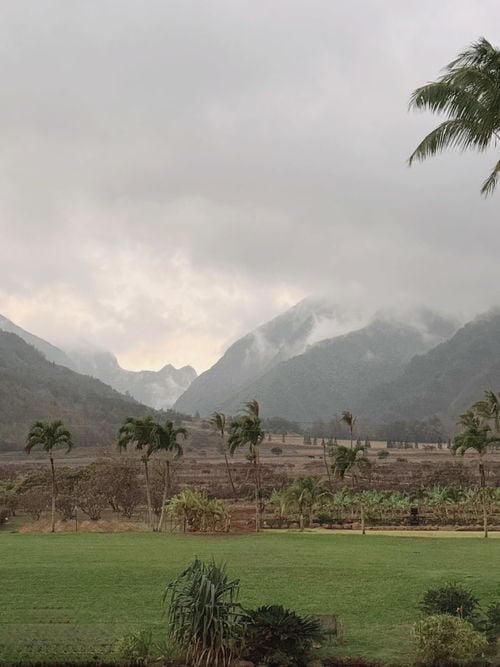 Microclimates of Maui