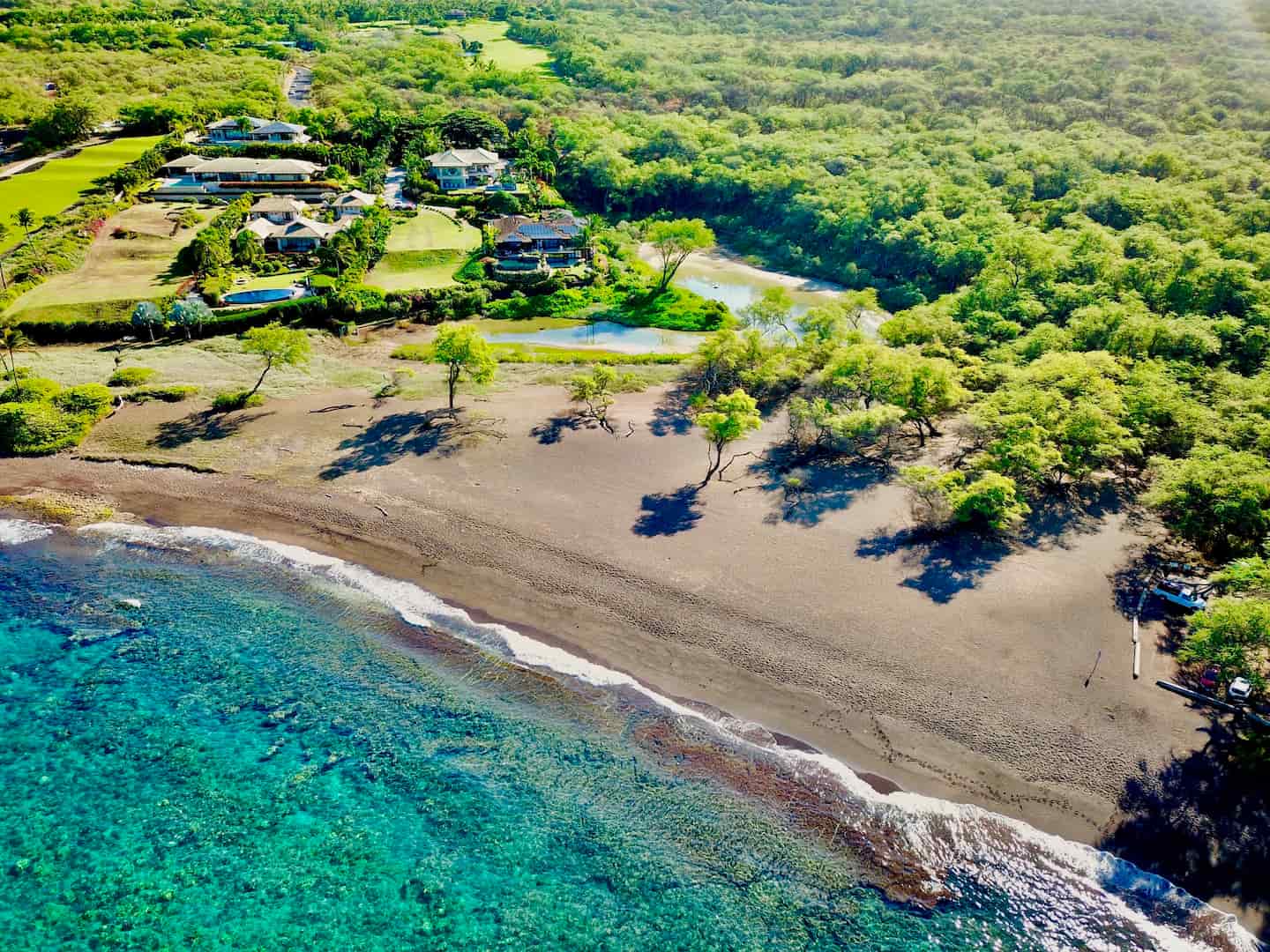 Multigenerational Family Purchases on Maui