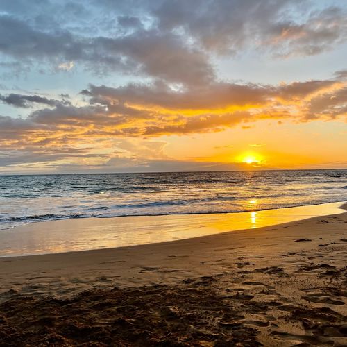 The Blue Mind Concept: What Marine Biologist Wallace J. Nichols Wrote About Being Near Water